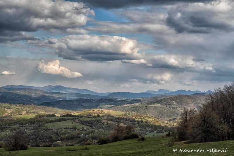 DSC_1475-Edit