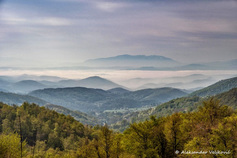 DSC_1505-Edit
