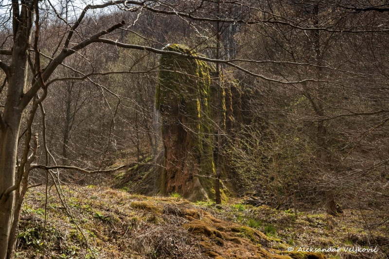 DSC_1564-Edit