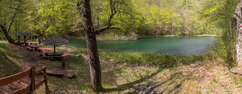 DSC_1574-Pano