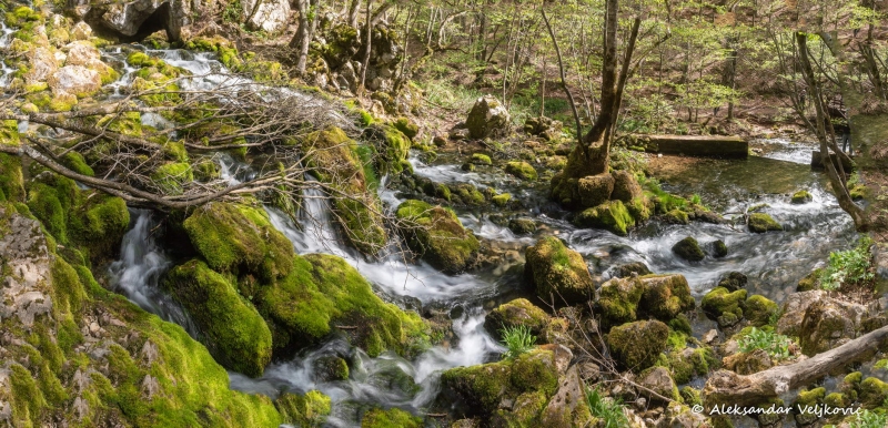 DSC_1583-Pano