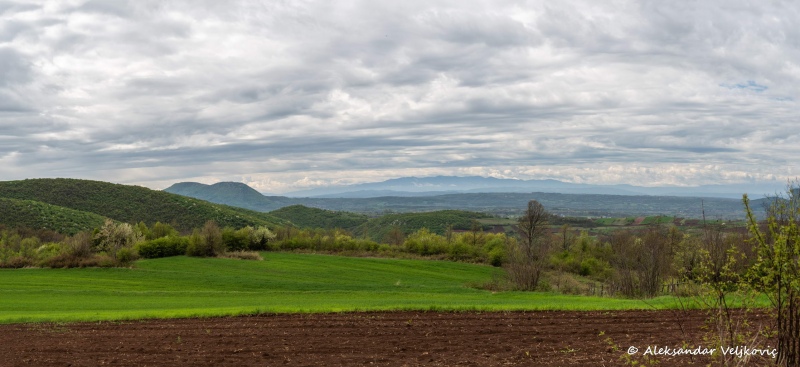 DSC_1592-Pano