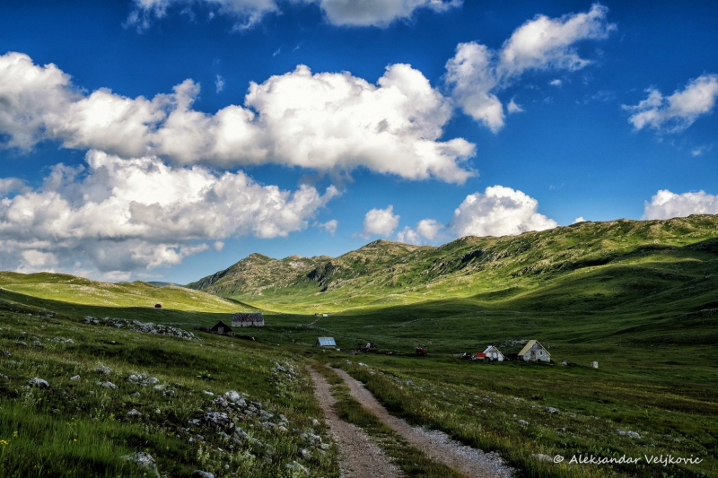 DSC_0036-Edit