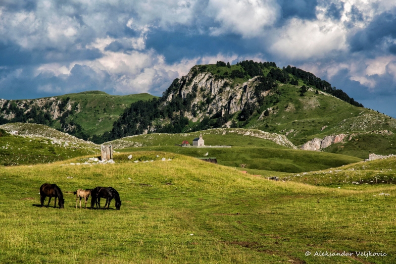 DSC_0046-Edit
