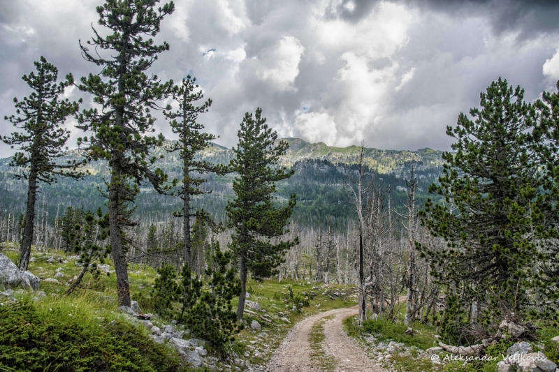 DSC_0187-Edit