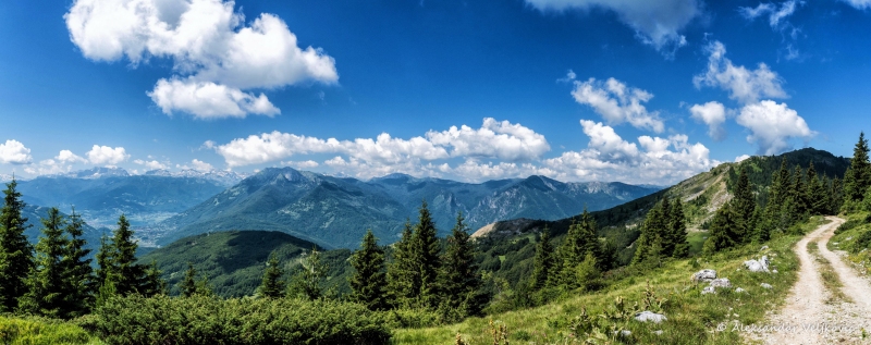 DSC_0480-Pano-Edit