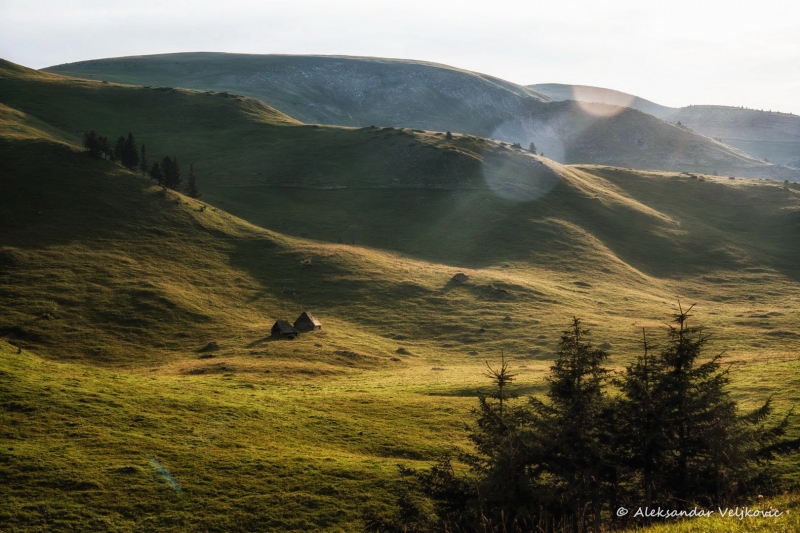 DSC_1285-Edit