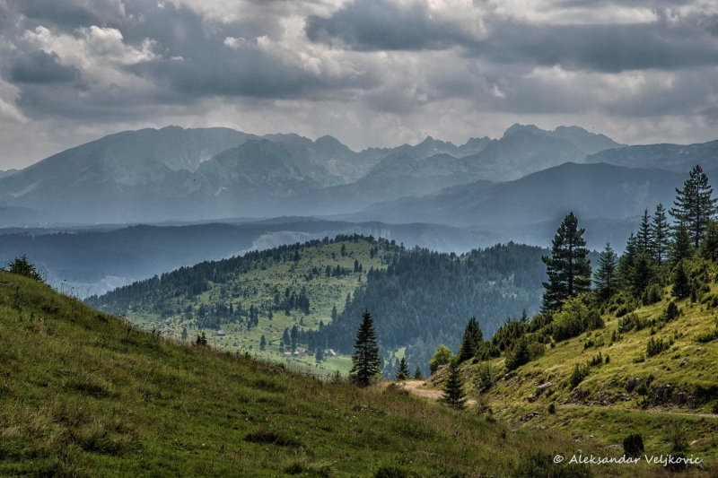 DSC_1326-Edit