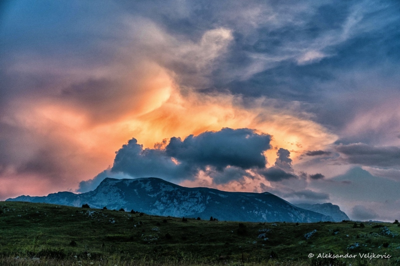 DSC_1415-Edit