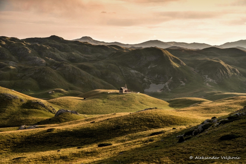 DSC_1475-Edit