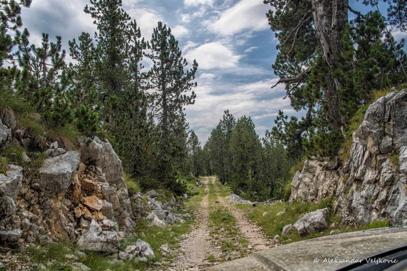 DSC_1557-Edit