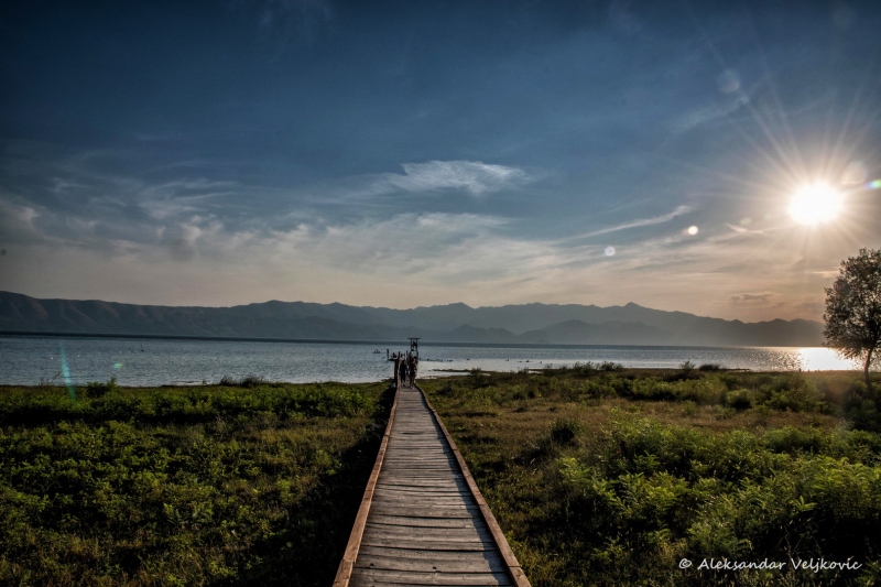 DSC_1949-Edit