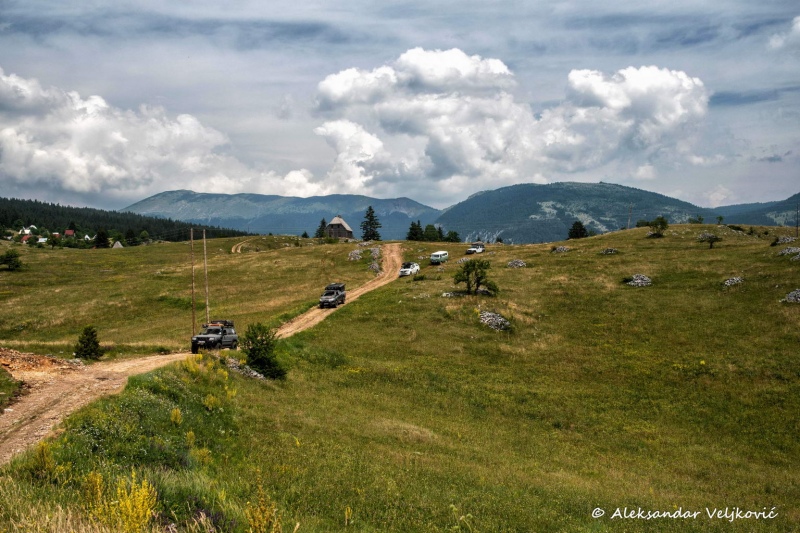 DSC_5431-Edit