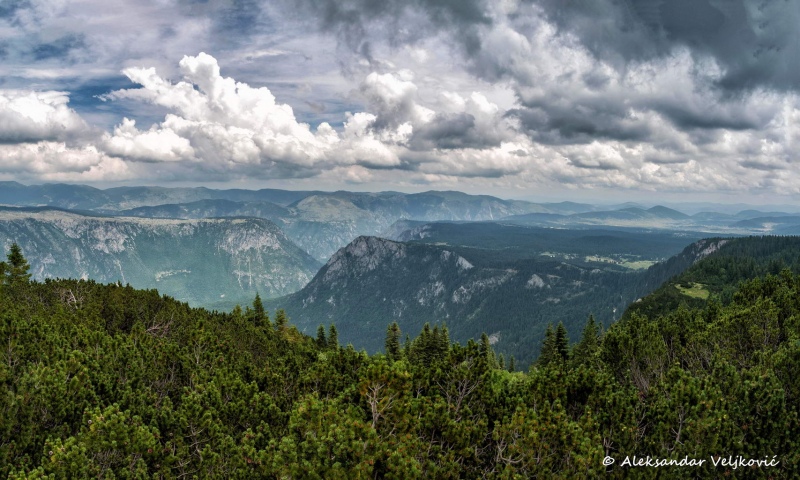 DSC_5505-Pano-Edit