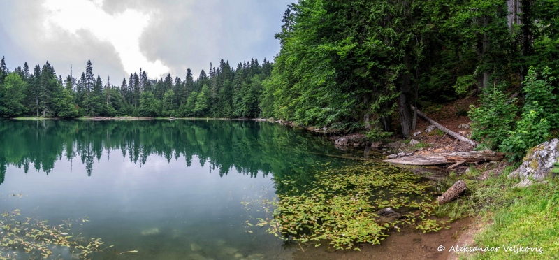 DSC_5676-Pano-Edit