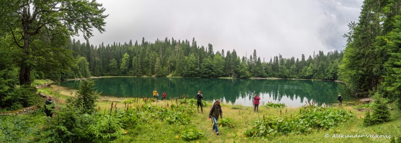 DSC_5689-Pano