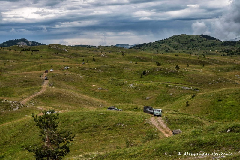 DSC_5695-Edit