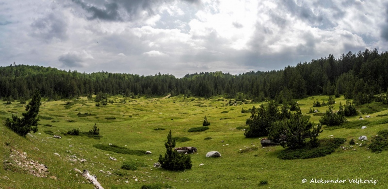 DSC_5893-Pano-Edit