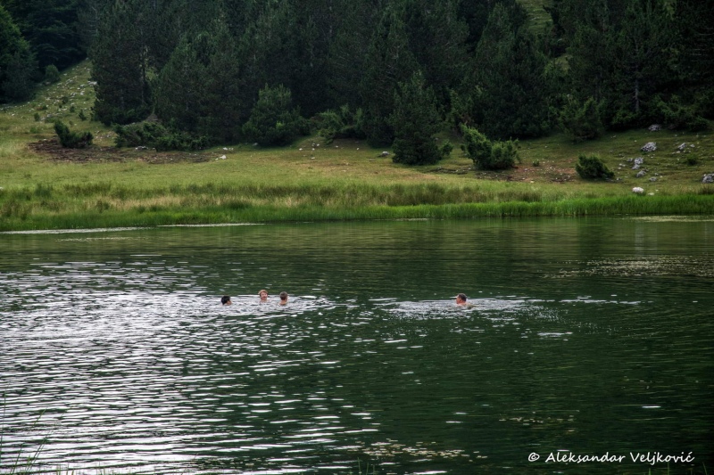 DSC_5896-Edit