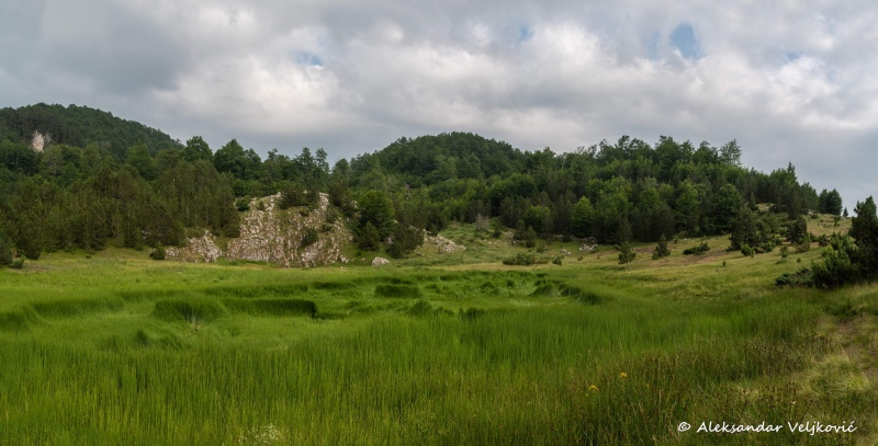 DSC_5911-Pano