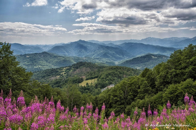 DSC_6068-Edit