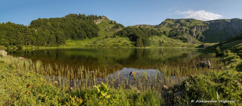 DSC_6236-Pano