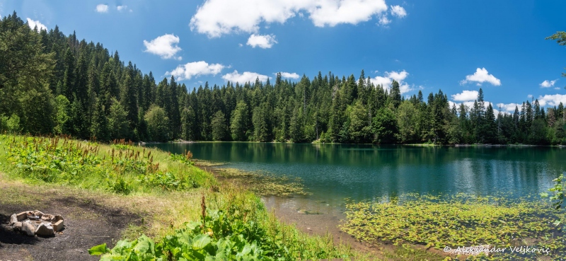 DSC_2654-Pano