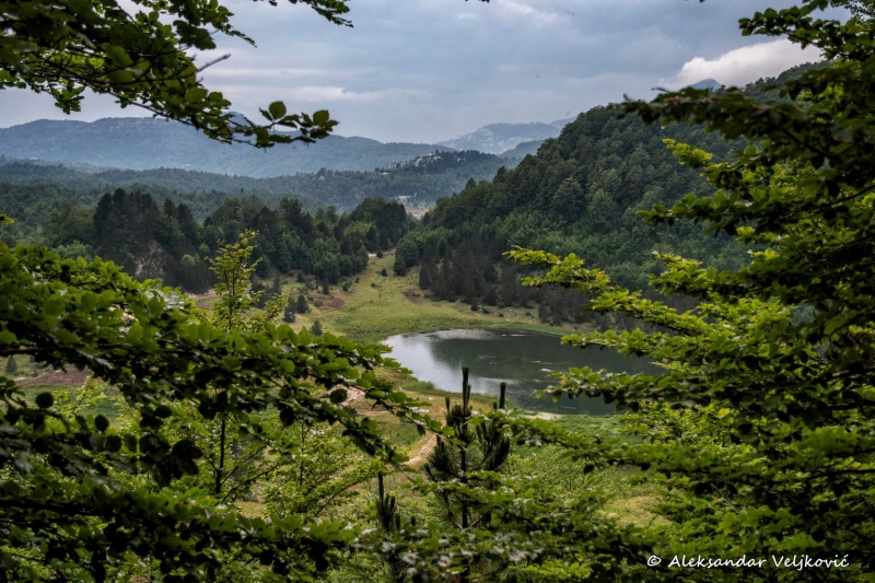 DSC_2785-Edit