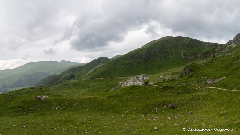 DSC_2911-Pano