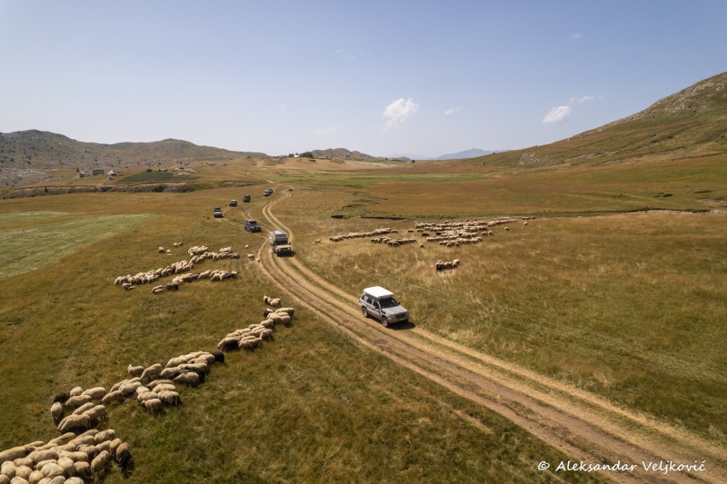 DJI_0162