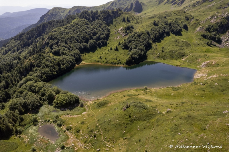 DJI_0311