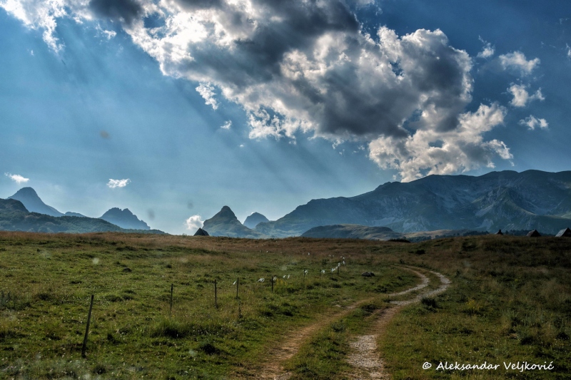 DSC_8695-Edit