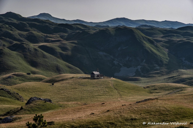 DSC_8742-Edit