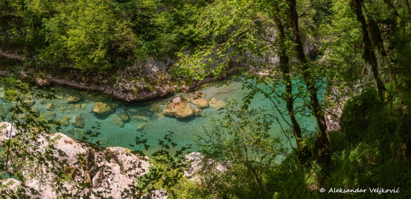 DSC_8837-Pano