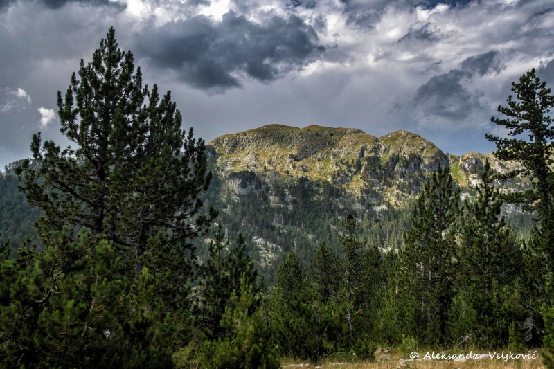 DSC_8865-Edit