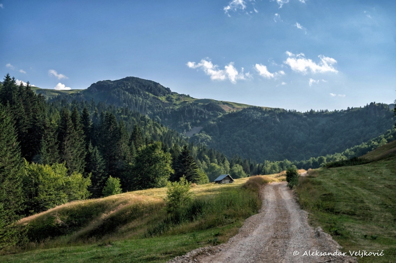 DSC_8962-Edit