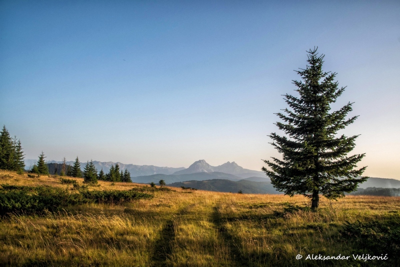 DSC_9003-Edit