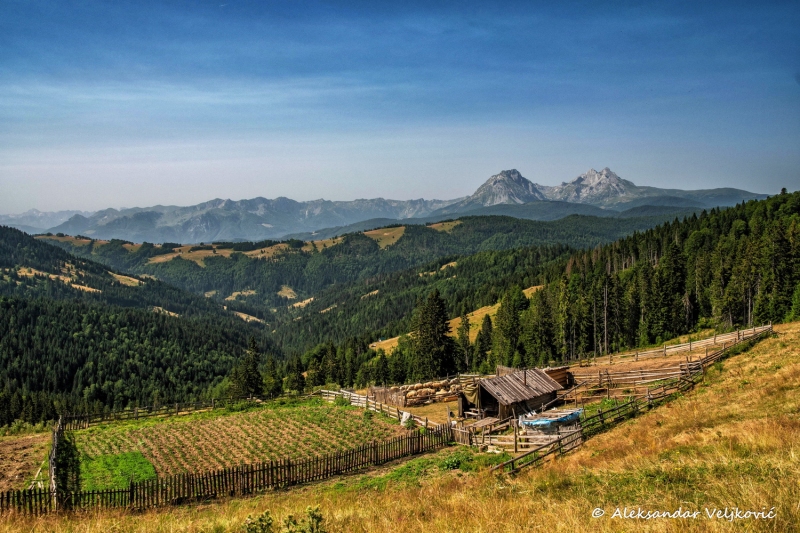 DSC_9020-Edit