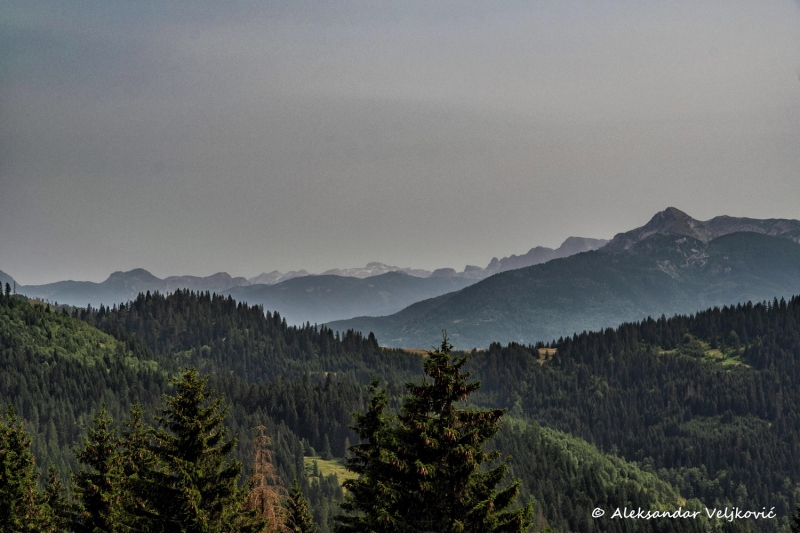 DSC_9035-Edit