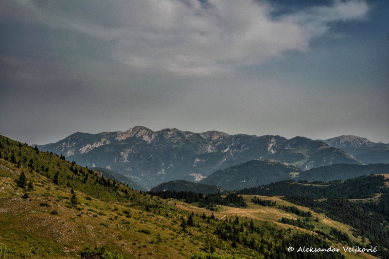 DSC_9042-Edit