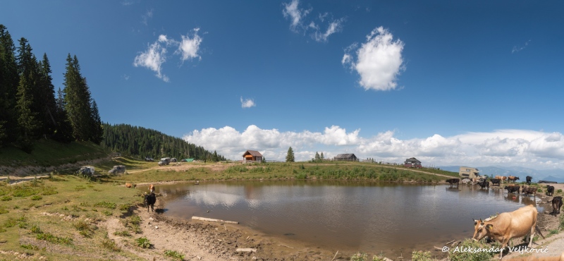 DSC_9060-Pano