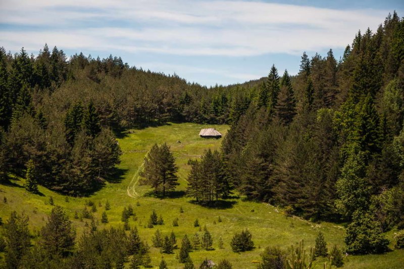 NJNF_023