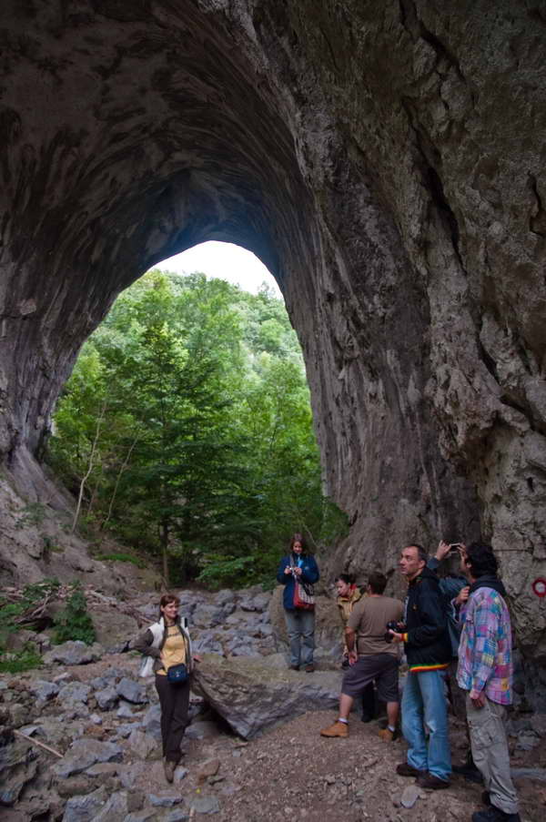 Ispod Suve prerasti