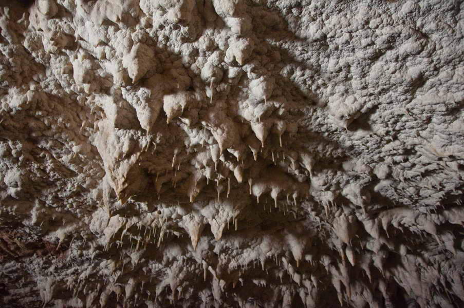 Kitnjasta tavanica Rajkove pećine