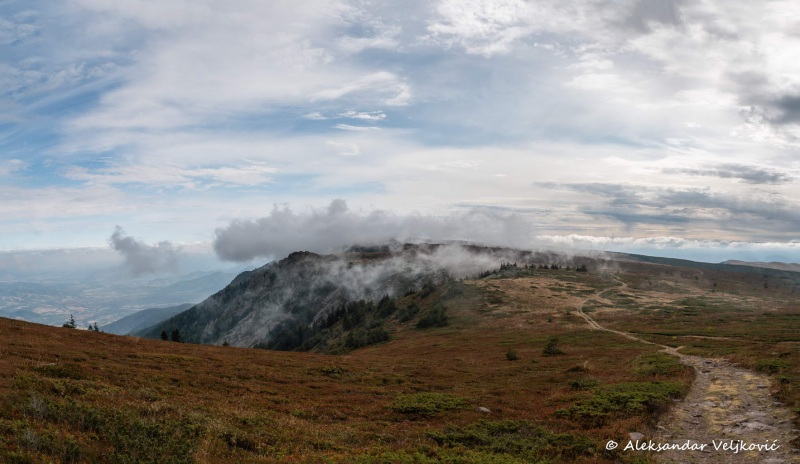 DSC_8184-Pano