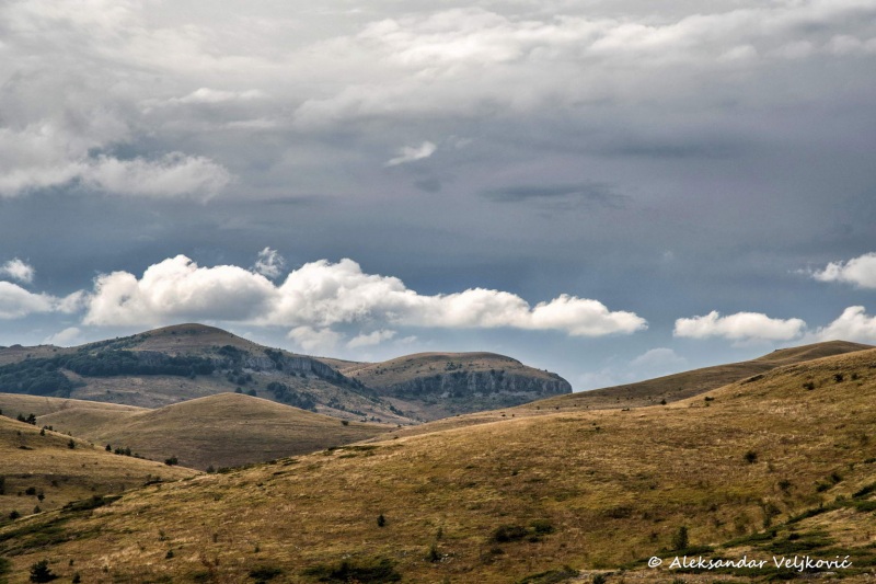 DSC_8188-Edit