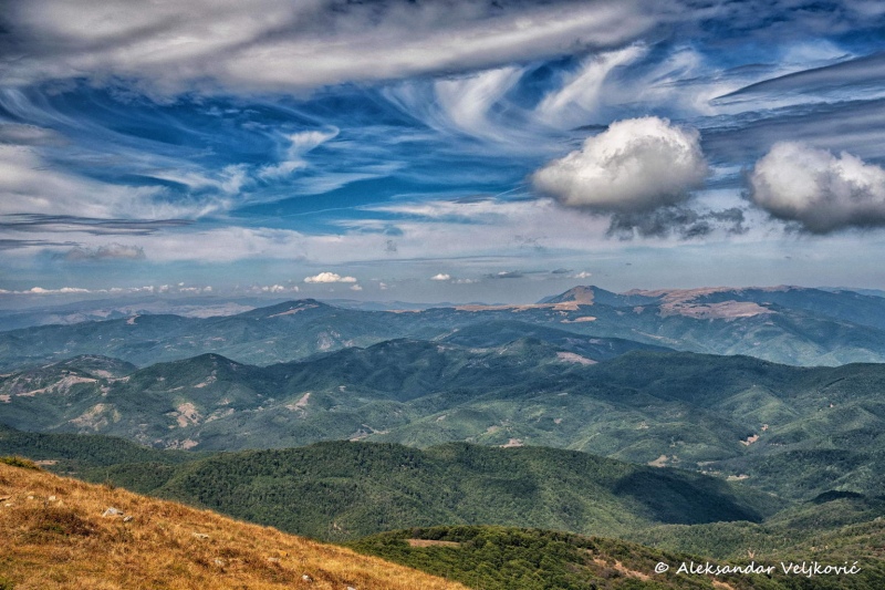 DSC_8245-Edit