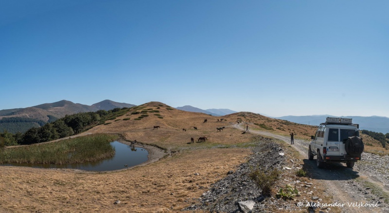 DSC_8303-Pano