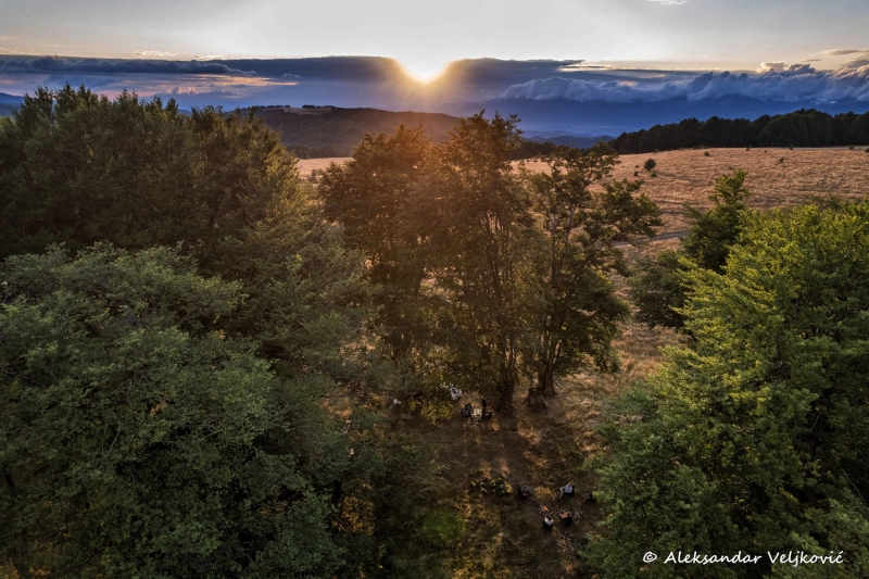 DJI_0431-Edit