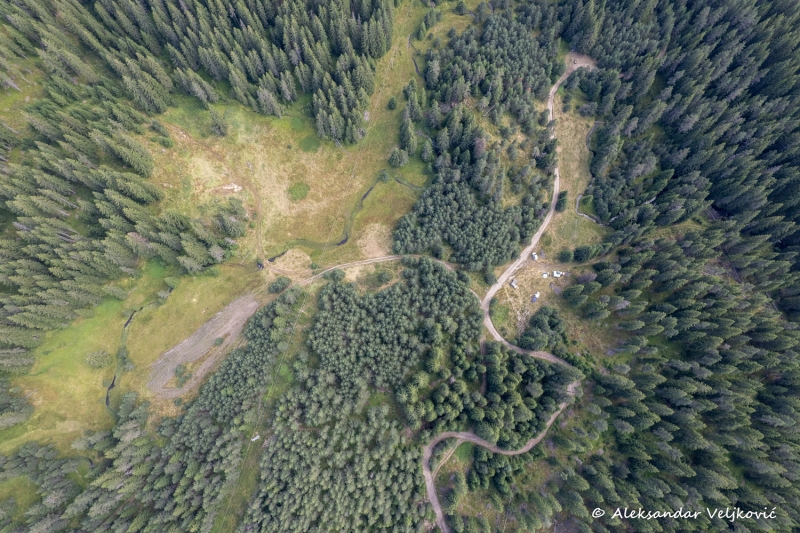 DJI_0464